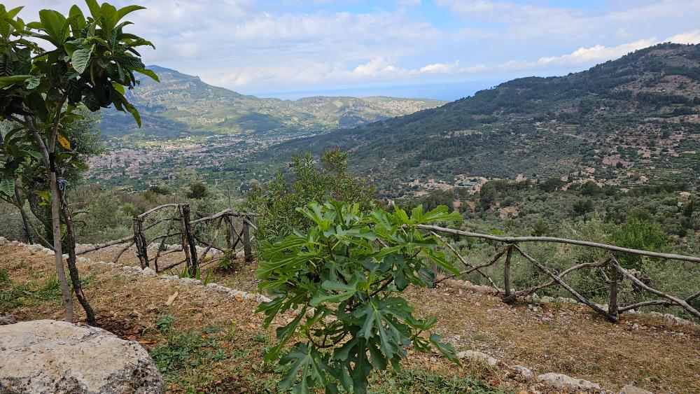  kaufen Landhaus Fornalutx Tramuntana 15