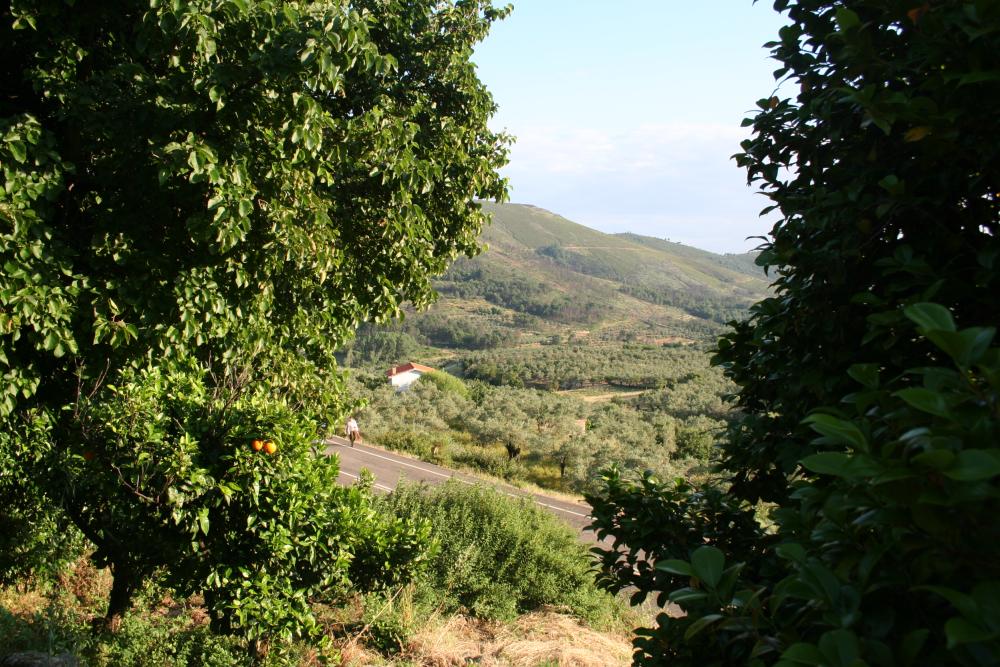 kaufen Reihenhaus Gata Sierra De Gata 8