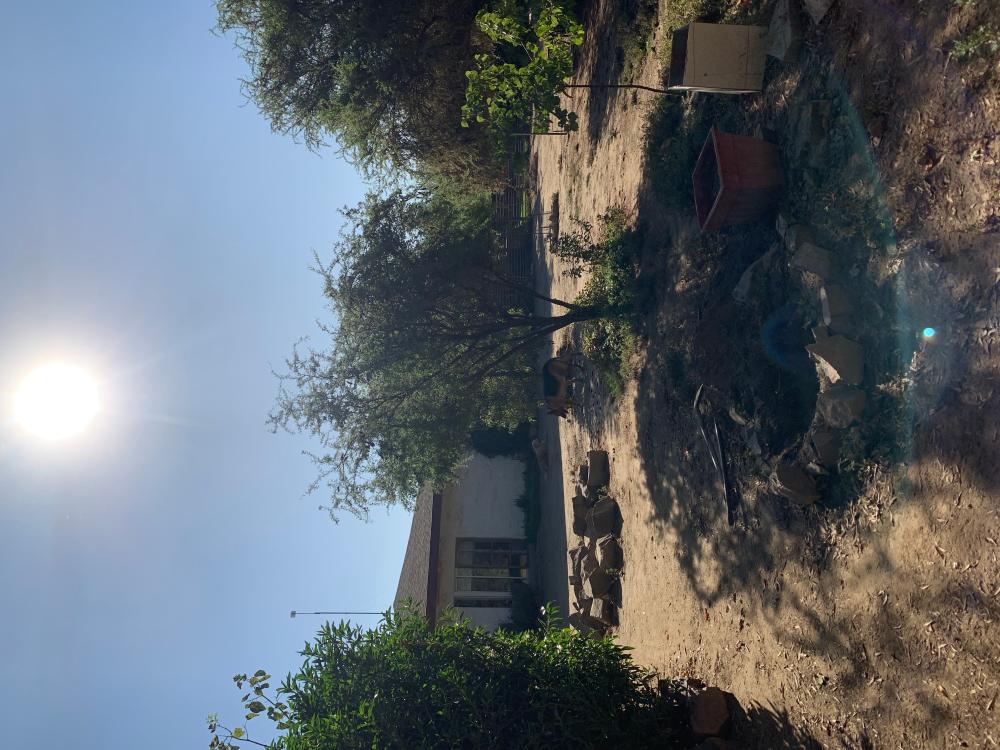  kaufen Haus Barrio De Panchito Ramos Tuineje 3
