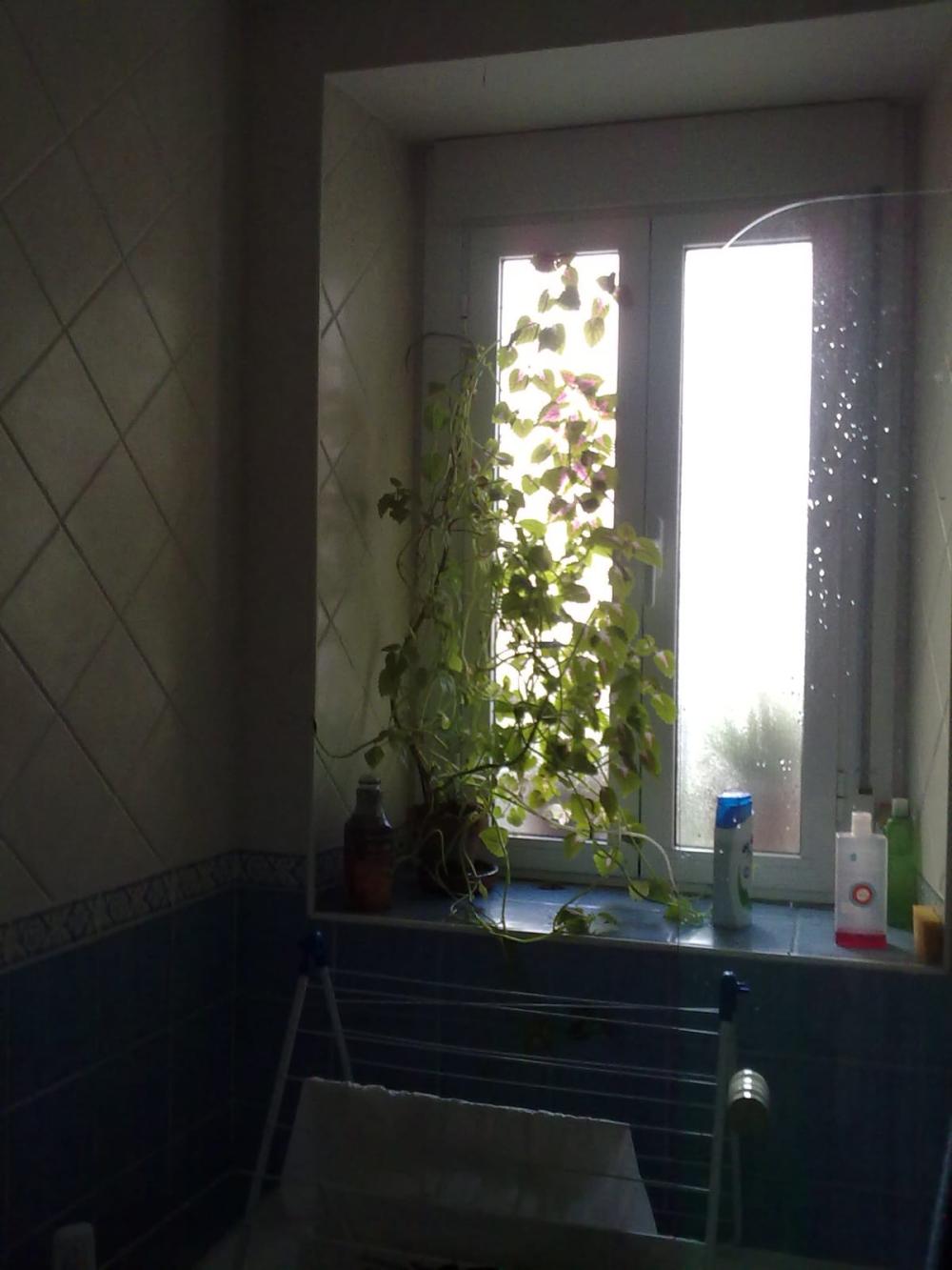  kaufen Wohnung Trujillo Trujillo 14
