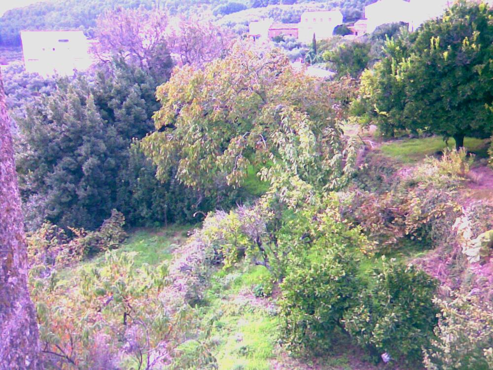  kaufen Reihenhaus Gata Sierra De Gata 6