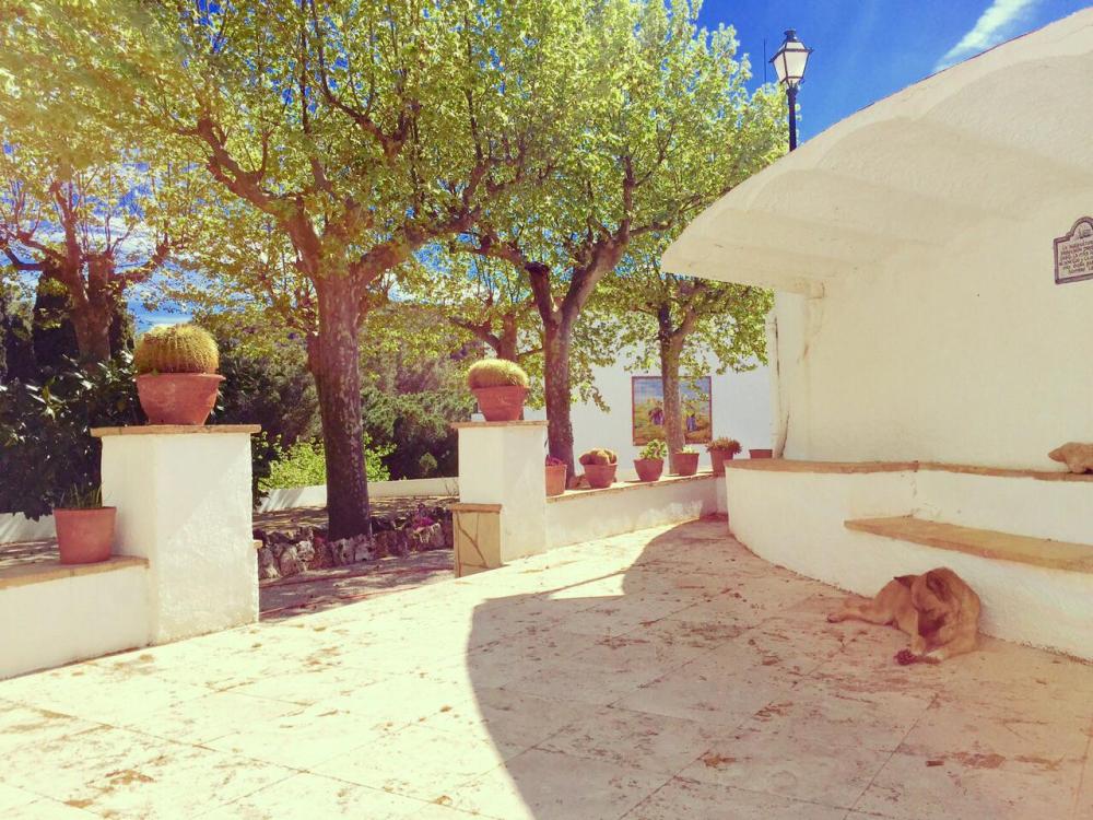  kaufen Villa Almoster Baix Camp 78
