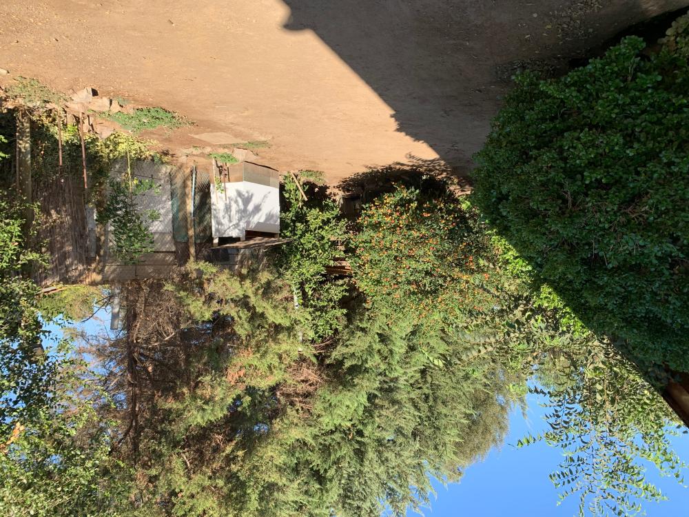  kaufen Haus Barrio De Panchito Ramos Tuineje 14