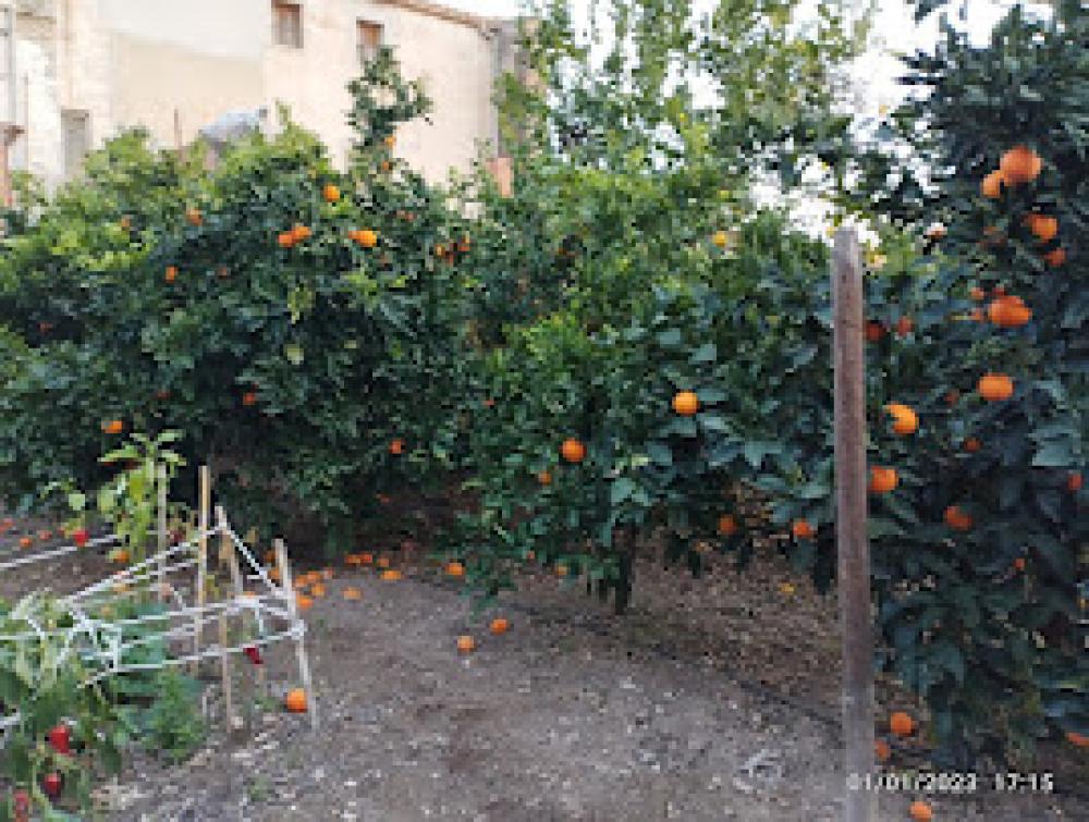 kaufen Haus Sant Quinti De Mediona Alt Penedès 6