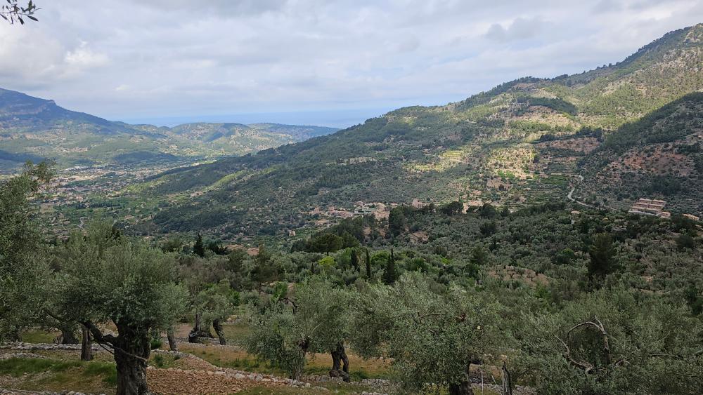  kaufen Landhaus Fornalutx Tramuntana 25