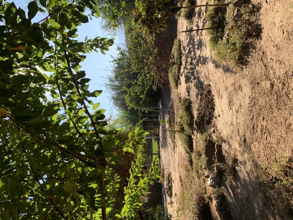  kaufen Haus Barrio De Panchito Ramos Tuineje 12