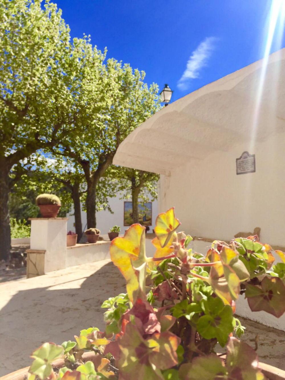  kaufen Villa Almoster Baix Camp 80