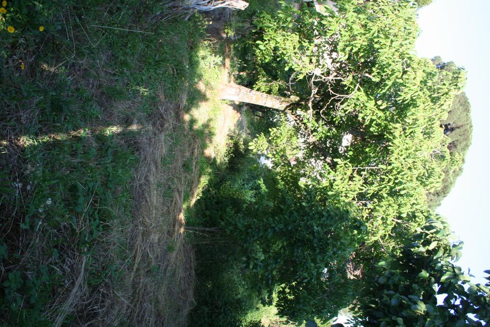  kaufen Reihenhaus Gata Sierra De Gata 7