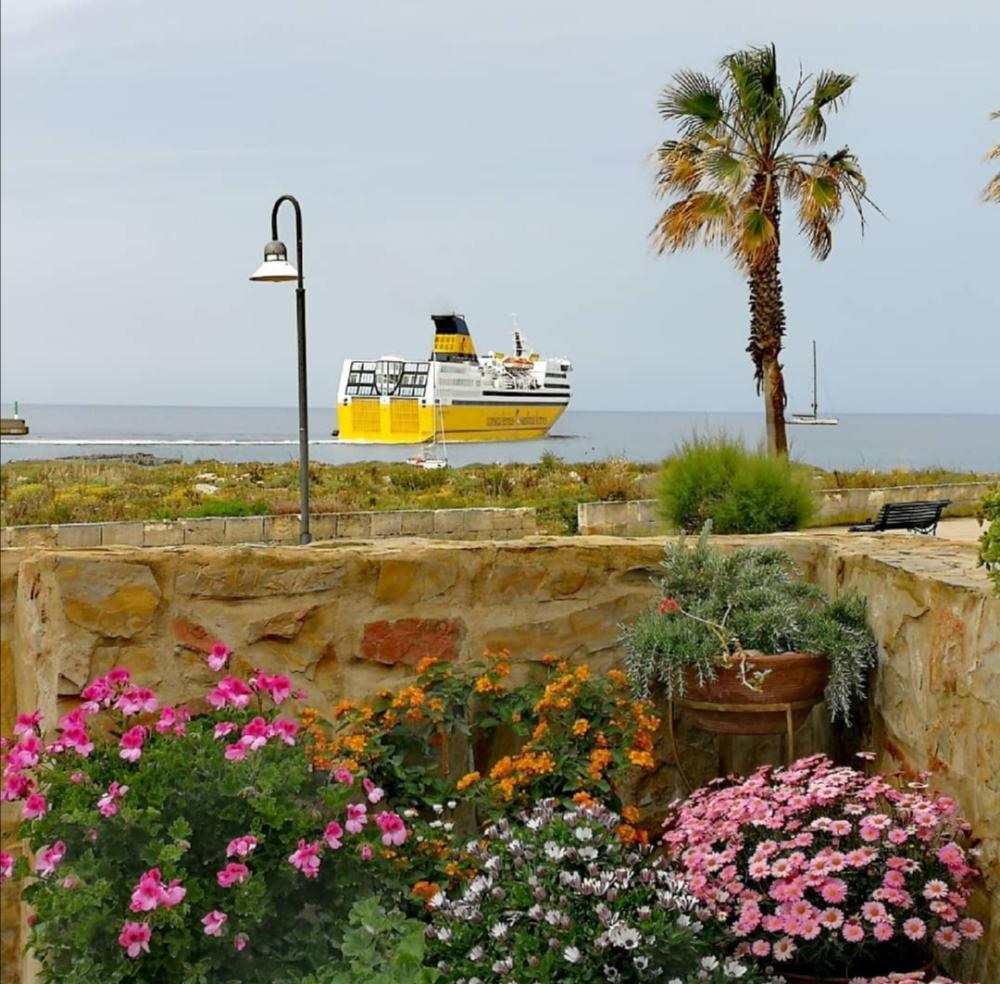  kaufen Erdgeschoss Ciudadela De Menorca Ciudadella De Menorca 4