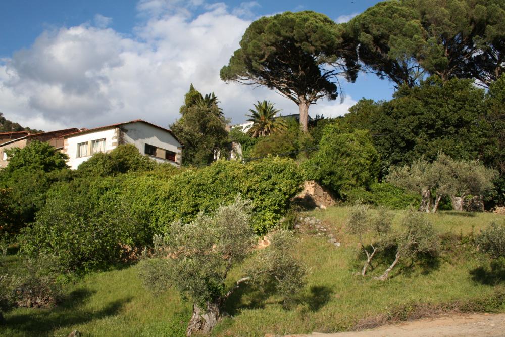  kaufen Reihenhaus Gata Sierra De Gata 4