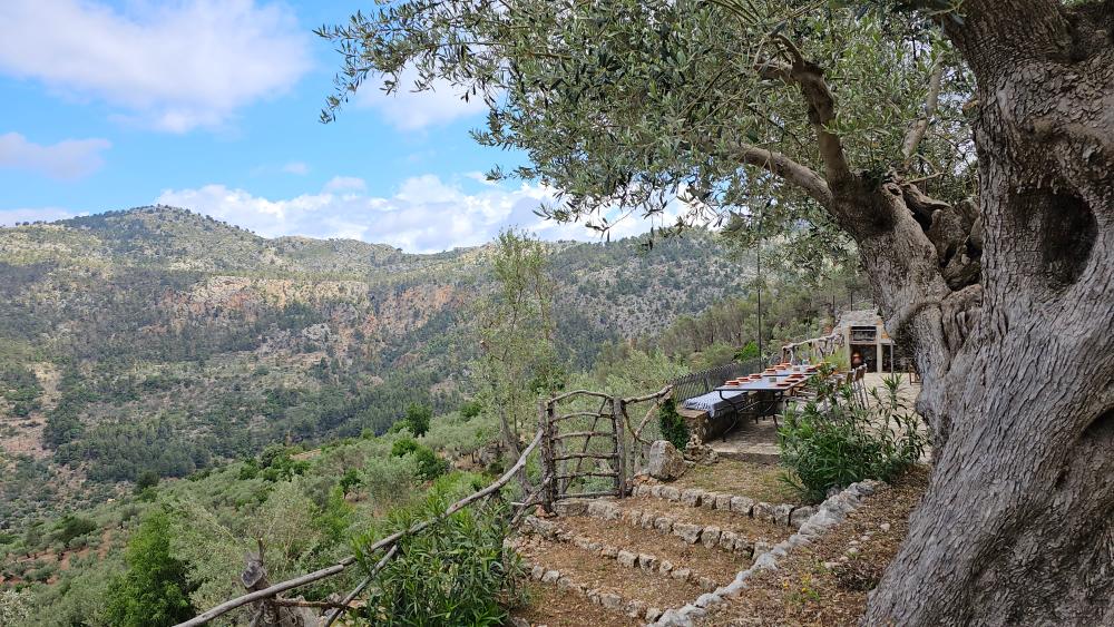  kaufen Landhaus Fornalutx Tramuntana 14