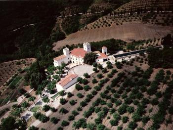 Almoster Baix Camp Villa Bild 5430928