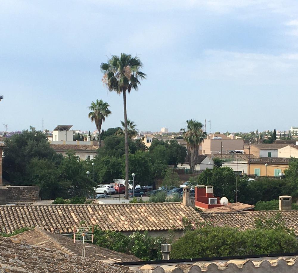  kaufen Wohnung Son Sardina-Sa Garriga-Son Llompart Palma 16