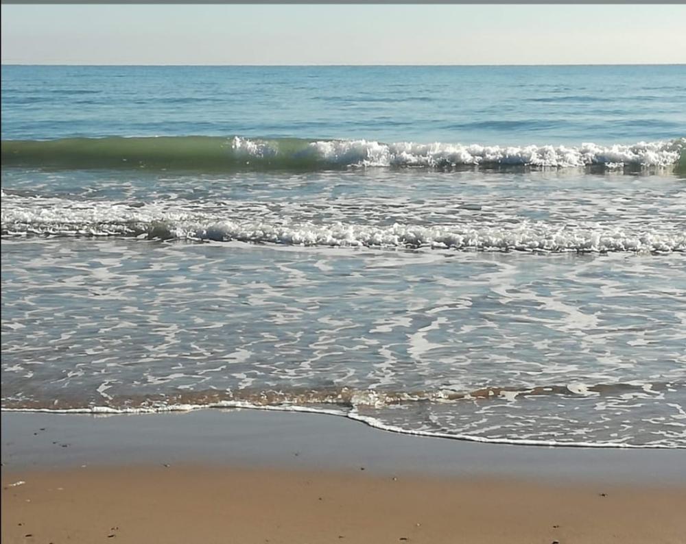  kaufen Wohnung Canet D'en Berenguer Camp De Morvedre 16