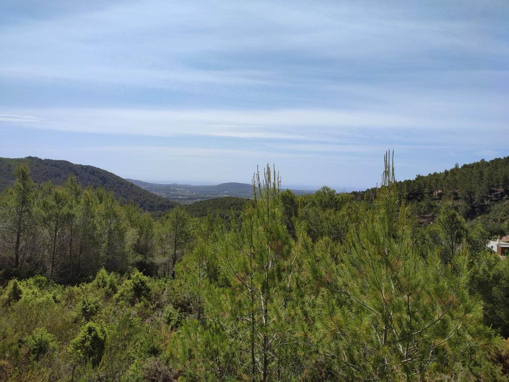  kaufen Grundstück Sant Carles De Peralta Santa Eulària Des Riu 2