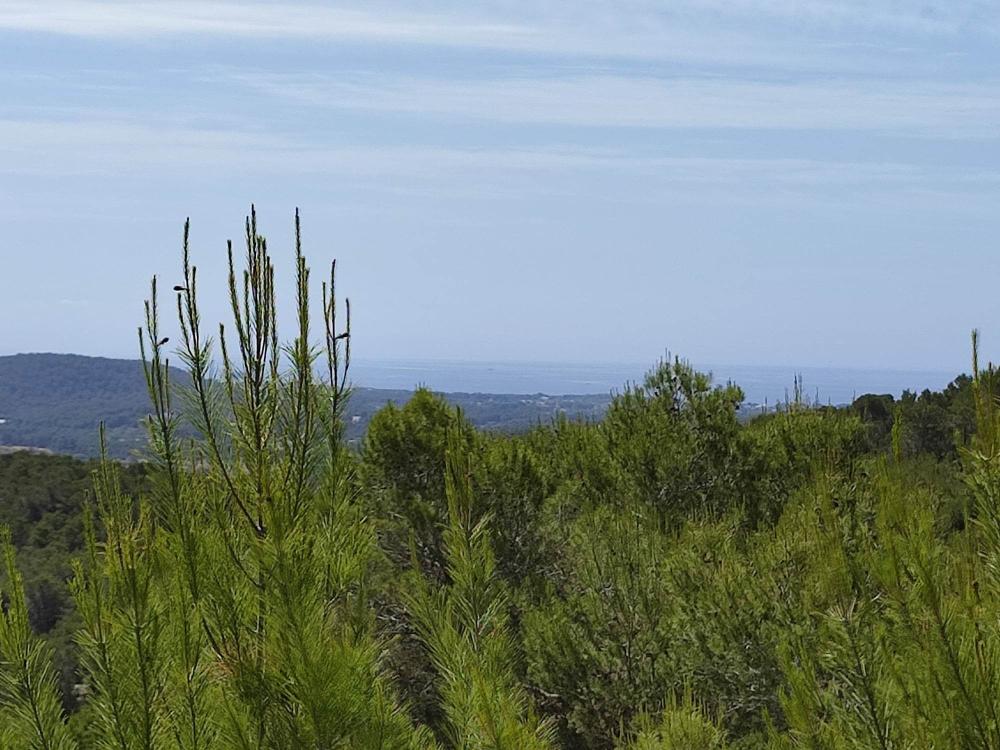  kaufen Grundstück Sant Carles De Peralta Santa Eulària Des Riu 1