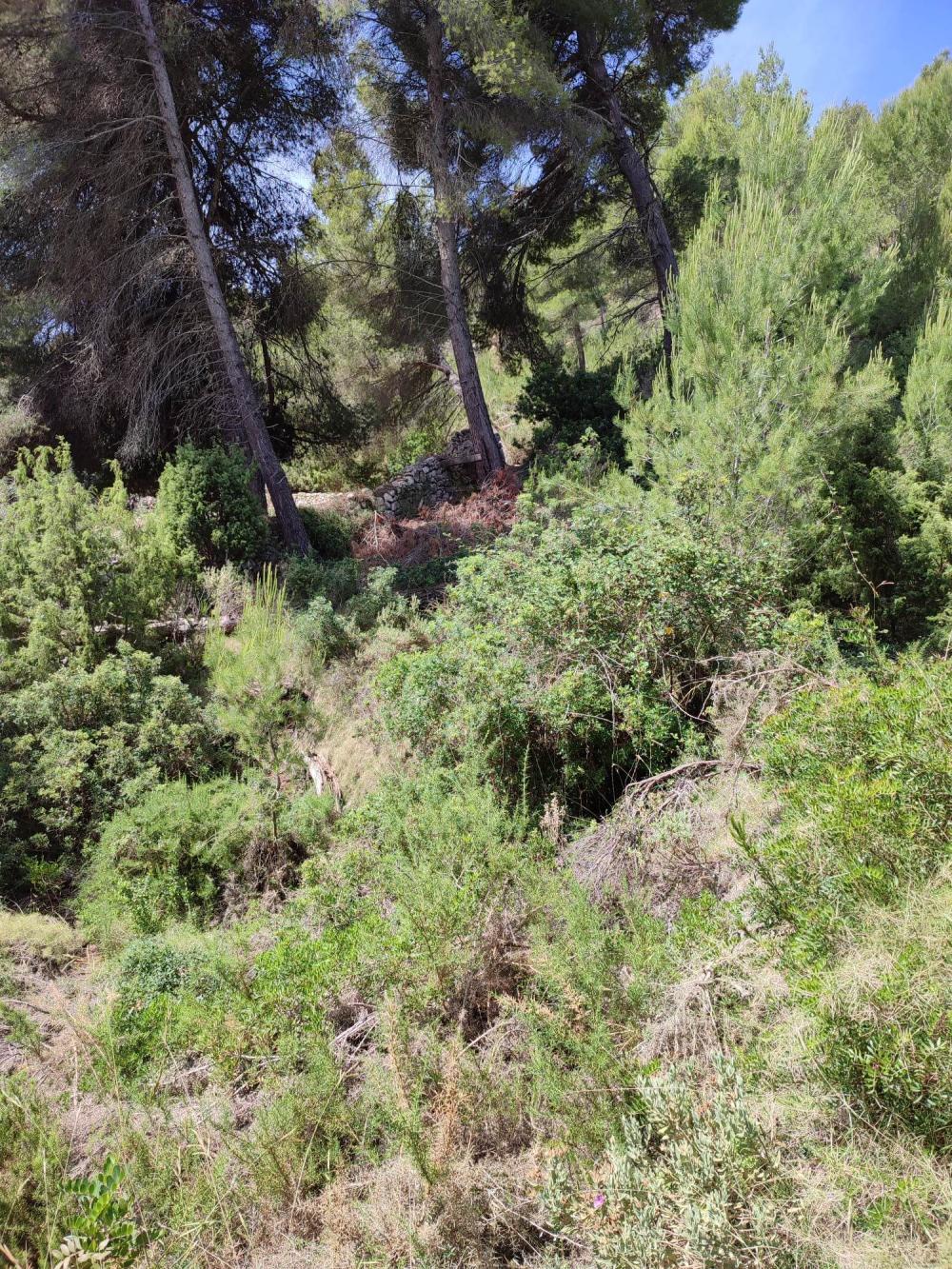  kaufen Grundstück Sant Carles De Peralta Santa Eulària Des Riu 5