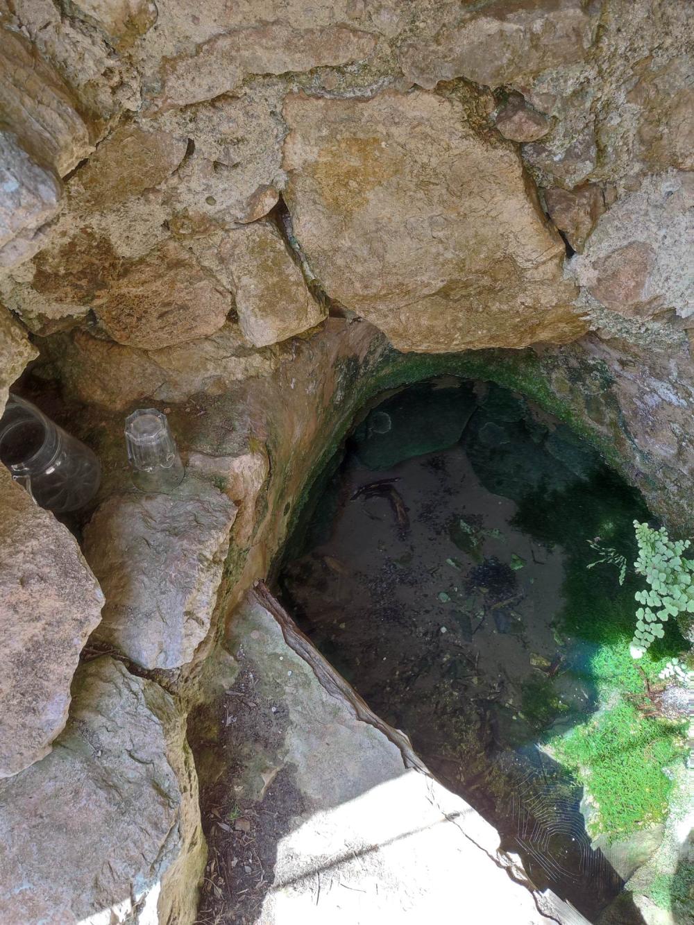  kaufen Grundstück Sant Carles De Peralta Santa Eulària Des Riu 7