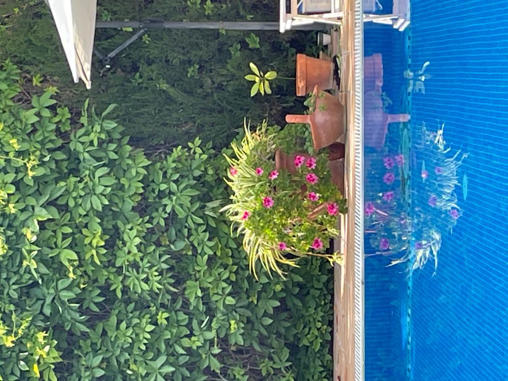  kaufen Villa San Pablo-Santa Justa Metropolitana De Sevilla 16
