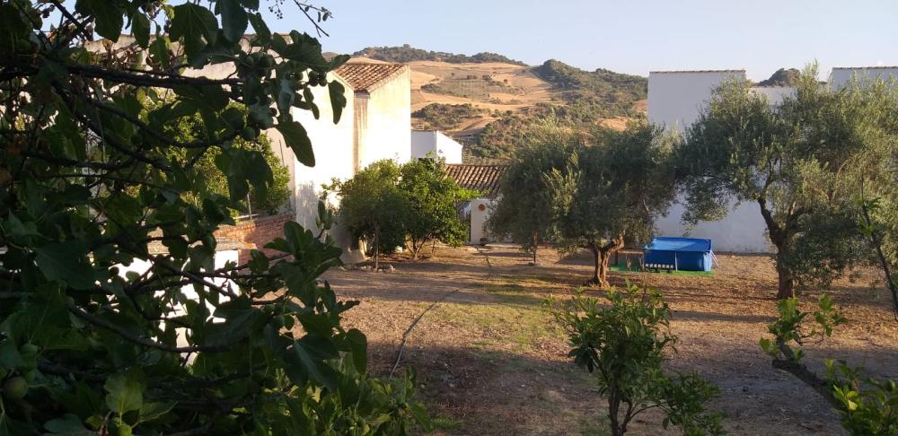  kaufen Haus Ronda Serranía De Ronda 2