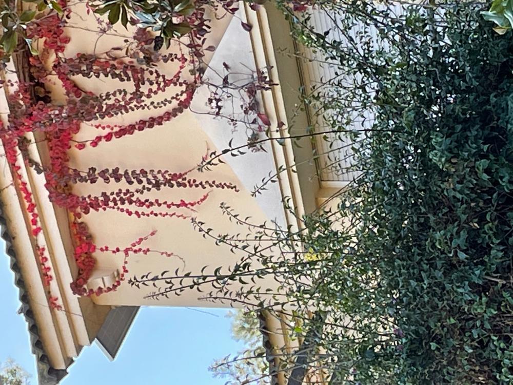 kaufen Villa San Pablo-Santa Justa Metropolitana De Sevilla 26