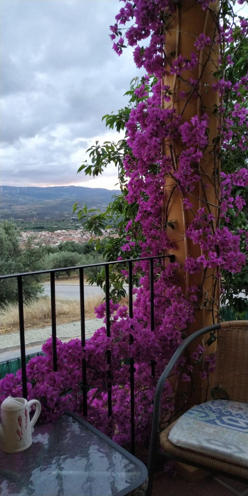  kaufen Villa Dúrcal Valle De Lecrín 40