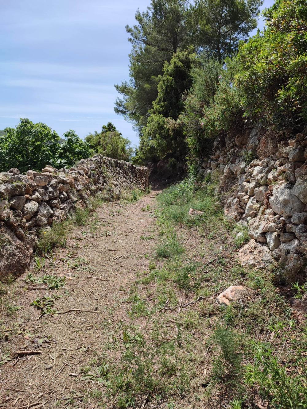  kaufen Grundstück Sant Carles De Peralta Santa Eulària Des Riu 3