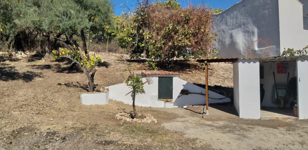  kaufen Haus Ronda Serranía De Ronda 4