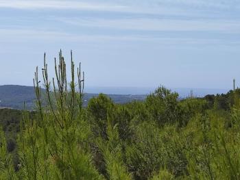 Sant Carles De Peralta Santa Eulària Des Riu Grundstück Bild 5454034