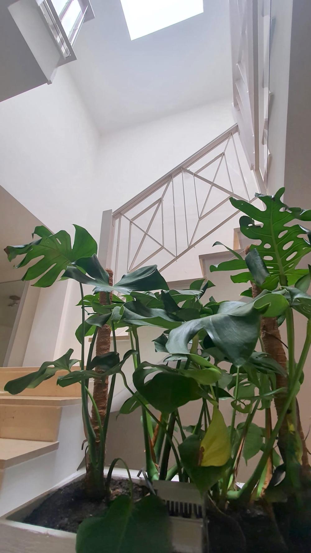  kaufen Villa L'almaixada Alacantí 6