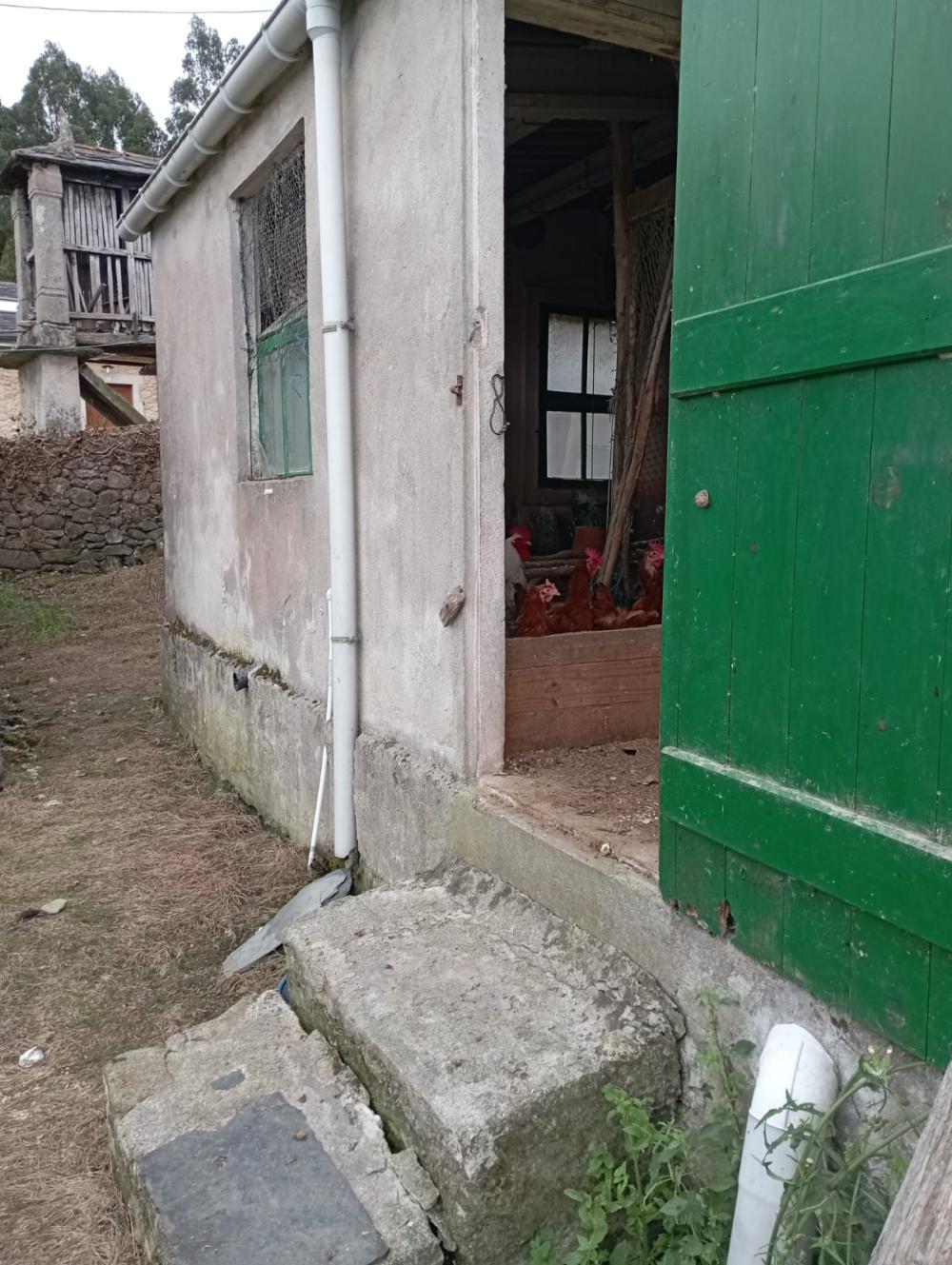  kaufen Haus O Vicedo Mariña Occidental 26