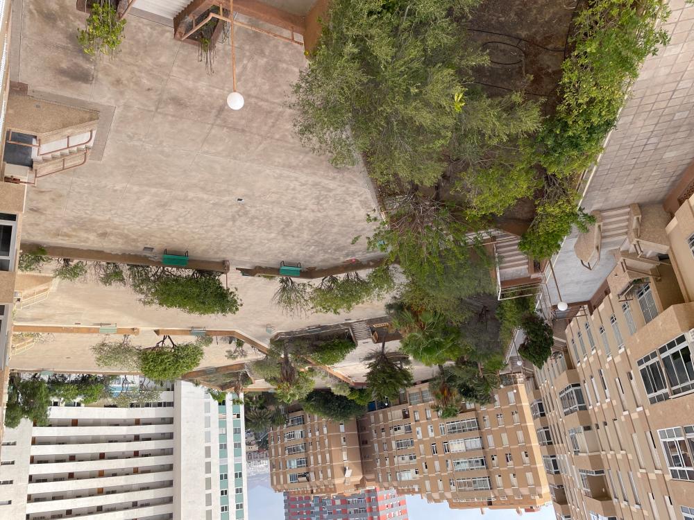  kaufen Wohnung Ciudad Alta Palmas De Gran Canaria (Las) 14