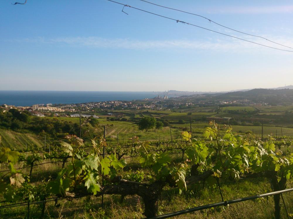  kaufen Wohnung El Masnou Maresme 2