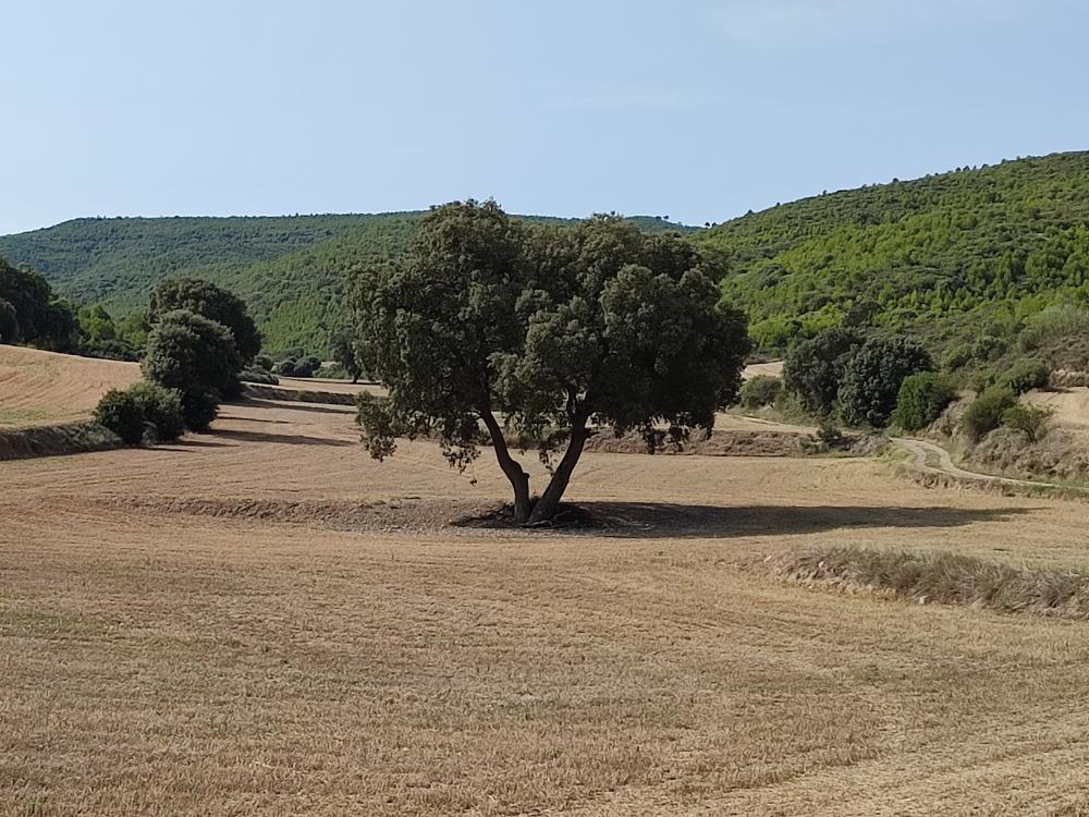  kaufen Haus Castejón De Valdejasa Cinco Villas 54