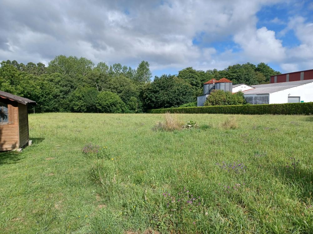  kaufen Landhaus A Gandara Ferrol 5
