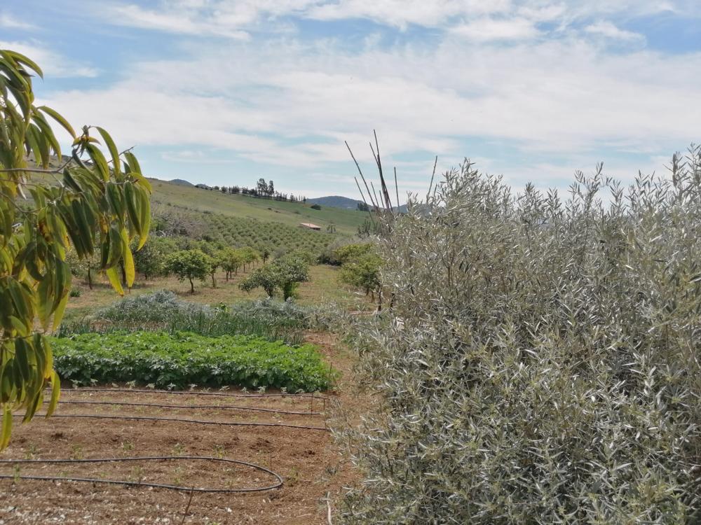  kaufen Haus Bermejo-Caracuel Valle Del Guadalhorce 46
