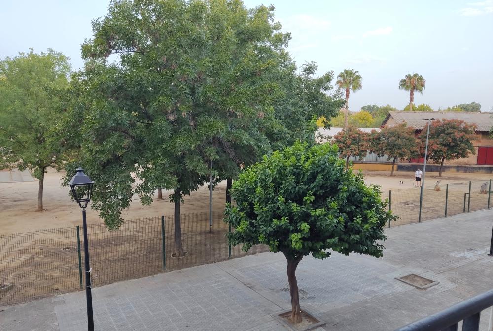  kaufen Wohnung Camas Metropolitana De Sevilla 7