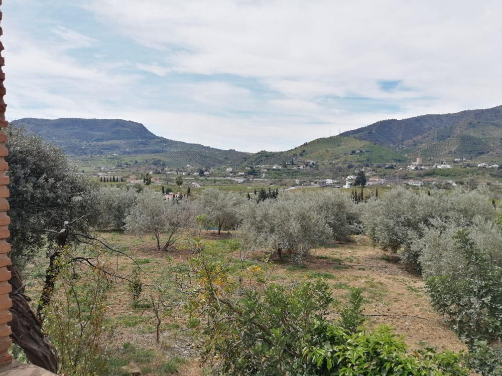  kaufen Haus Bermejo-Caracuel Valle Del Guadalhorce 43