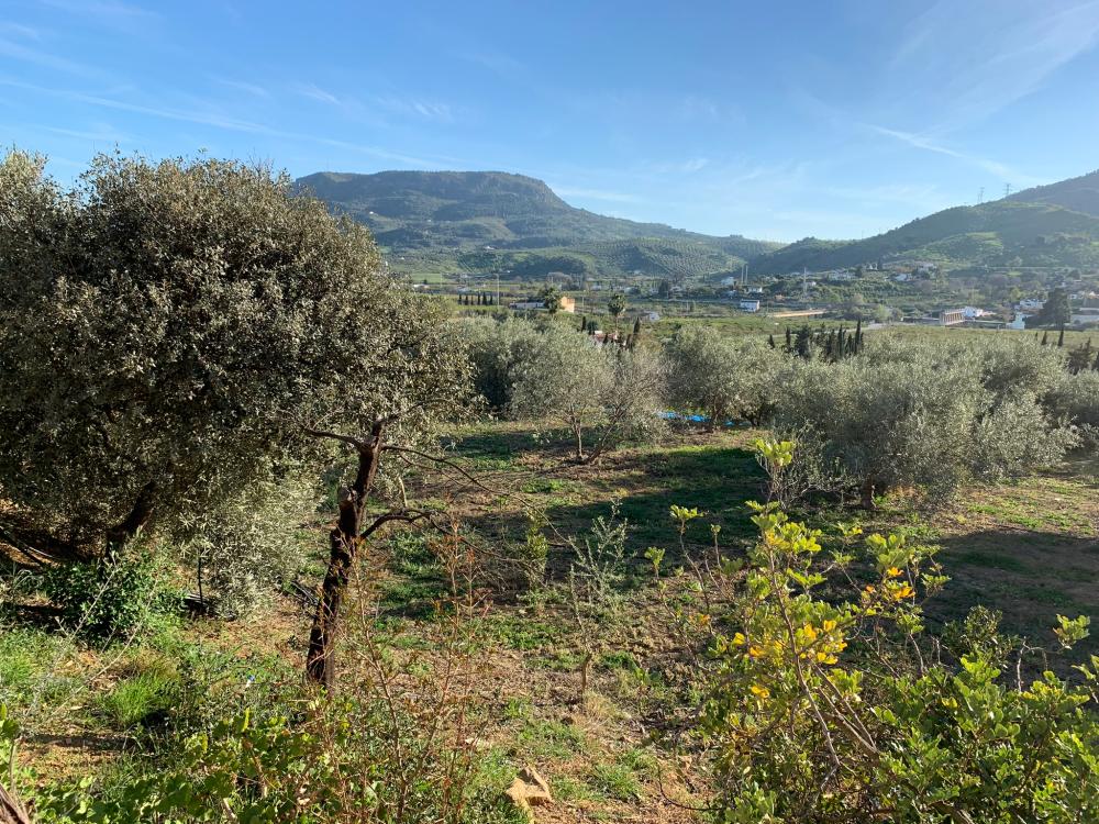  kaufen Haus Bermejo-Caracuel Valle Del Guadalhorce 27