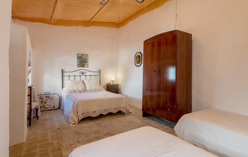  kaufen Haus Las Pinedas Valle Medio Del Guadalquivir 15