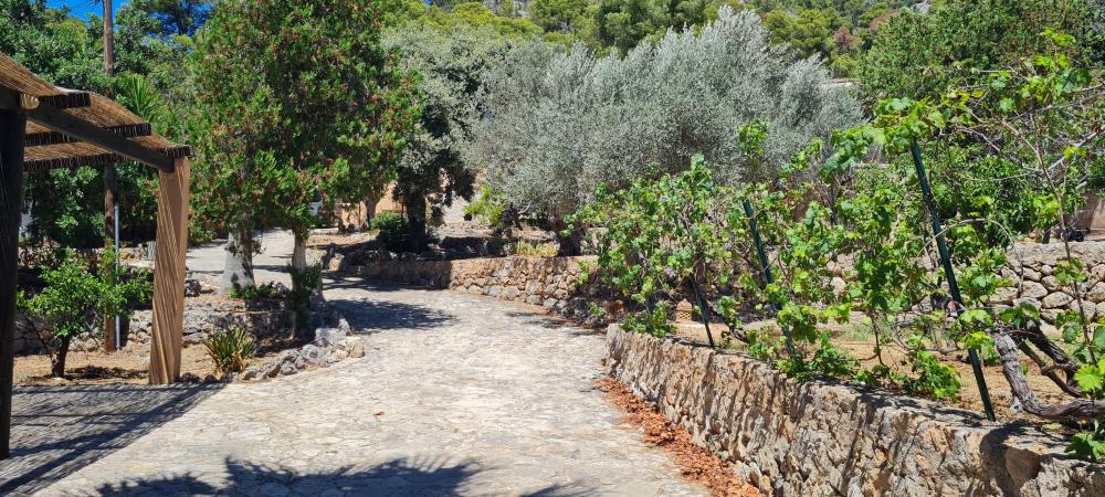  kaufen Villa Bunyola Tramuntana 3