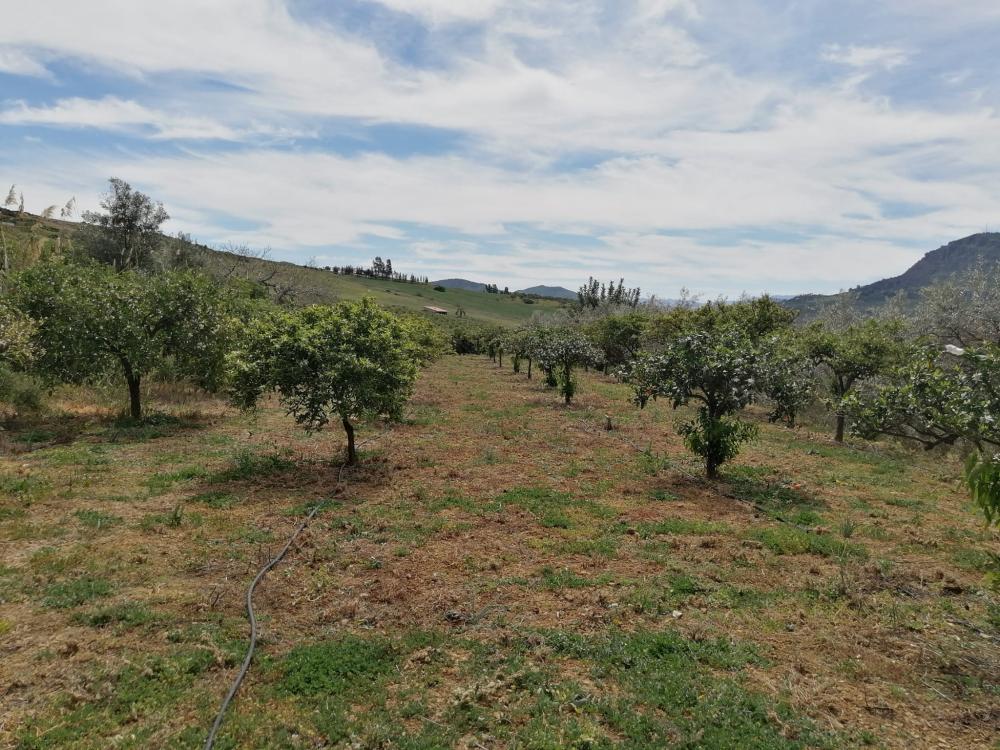  kaufen Haus Bermejo-Caracuel Valle Del Guadalhorce 37