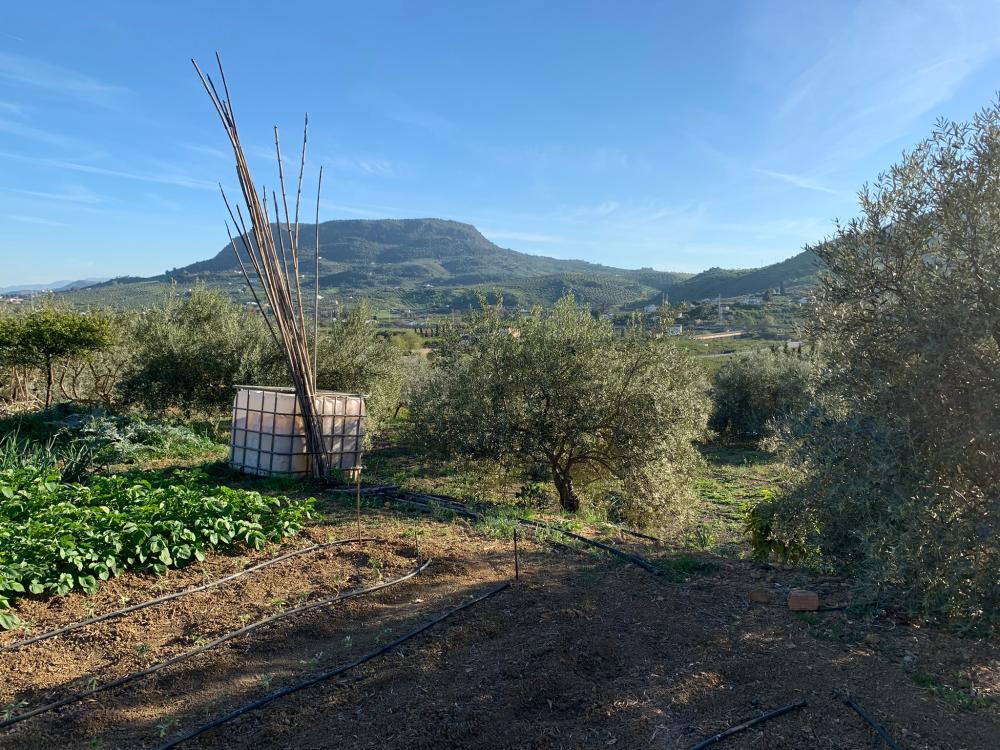  kaufen Haus Bermejo-Caracuel Valle Del Guadalhorce 32