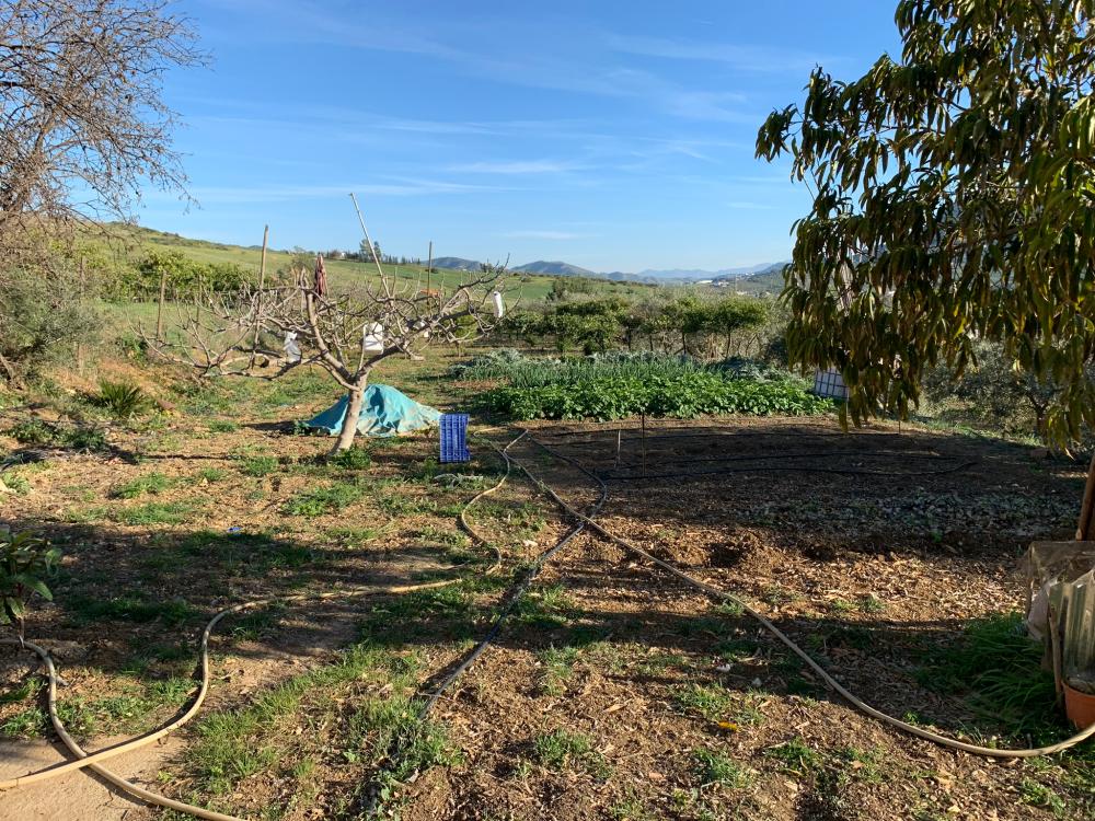  kaufen Haus Bermejo-Caracuel Valle Del Guadalhorce 26