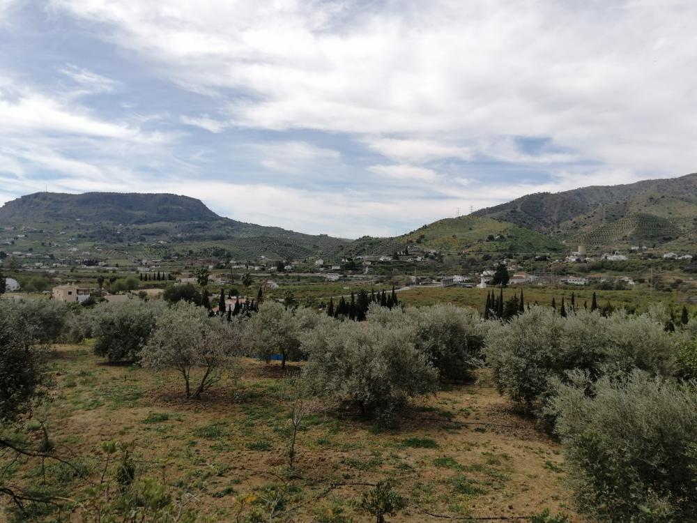  kaufen Haus Bermejo-Caracuel Valle Del Guadalhorce 40