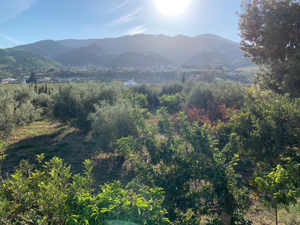  kaufen Haus Bermejo-Caracuel Valle Del Guadalhorce 28