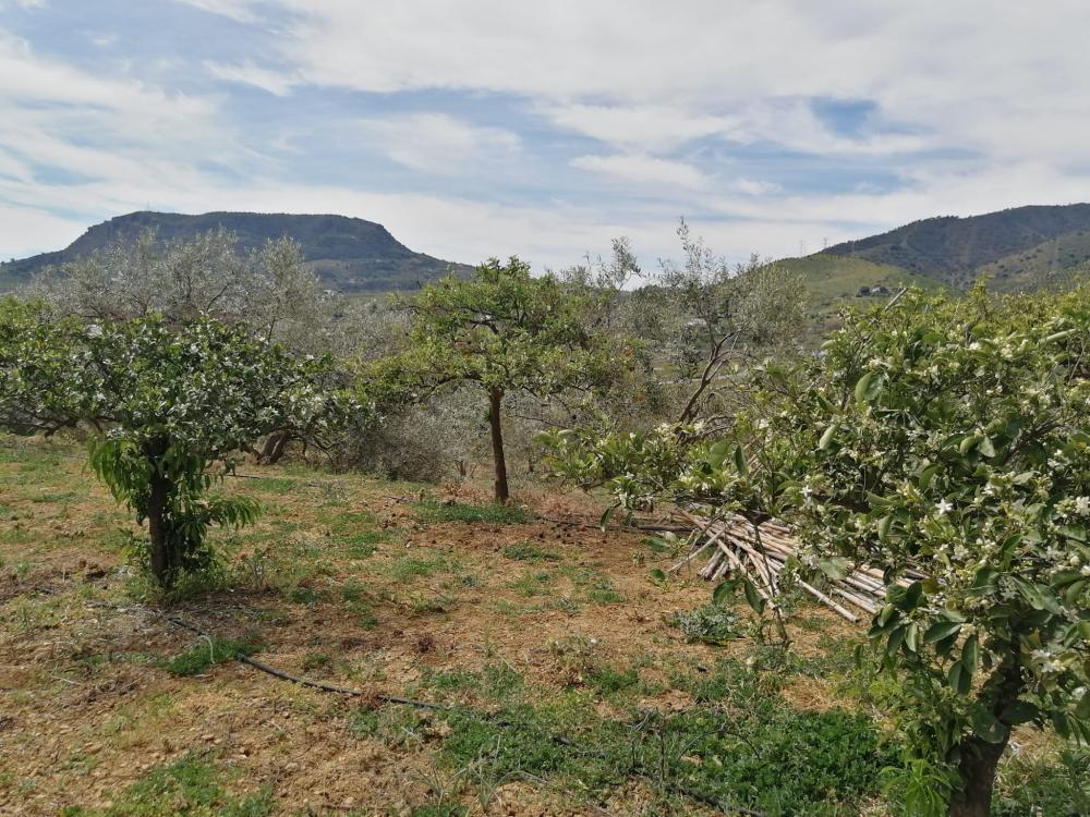  kaufen Haus Bermejo-Caracuel Valle Del Guadalhorce 36