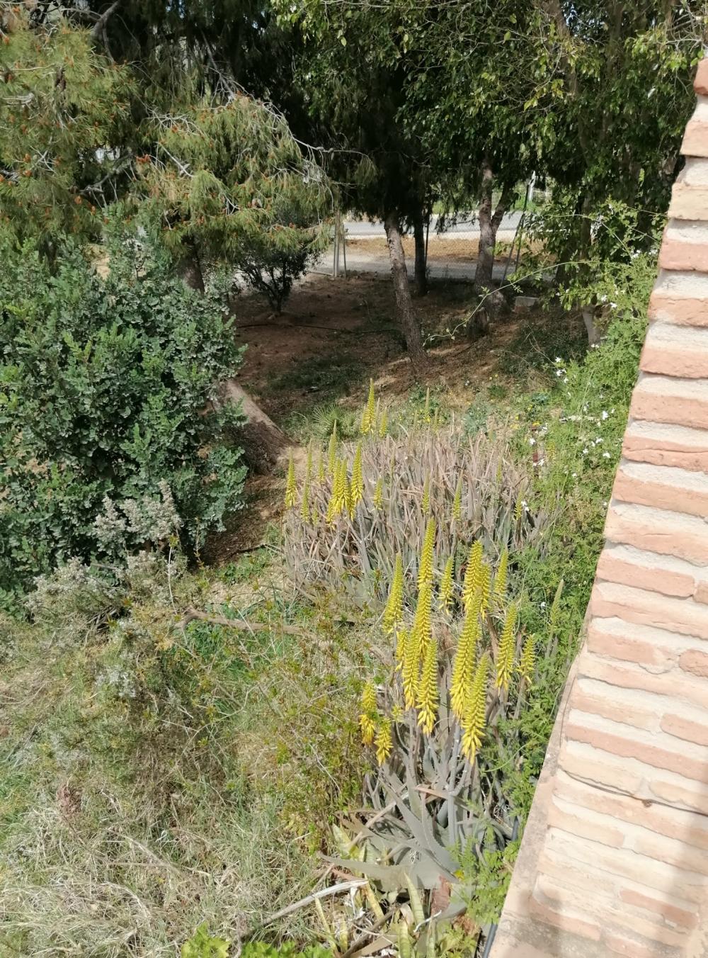  kaufen Haus Bermejo-Caracuel Valle Del Guadalhorce 41
