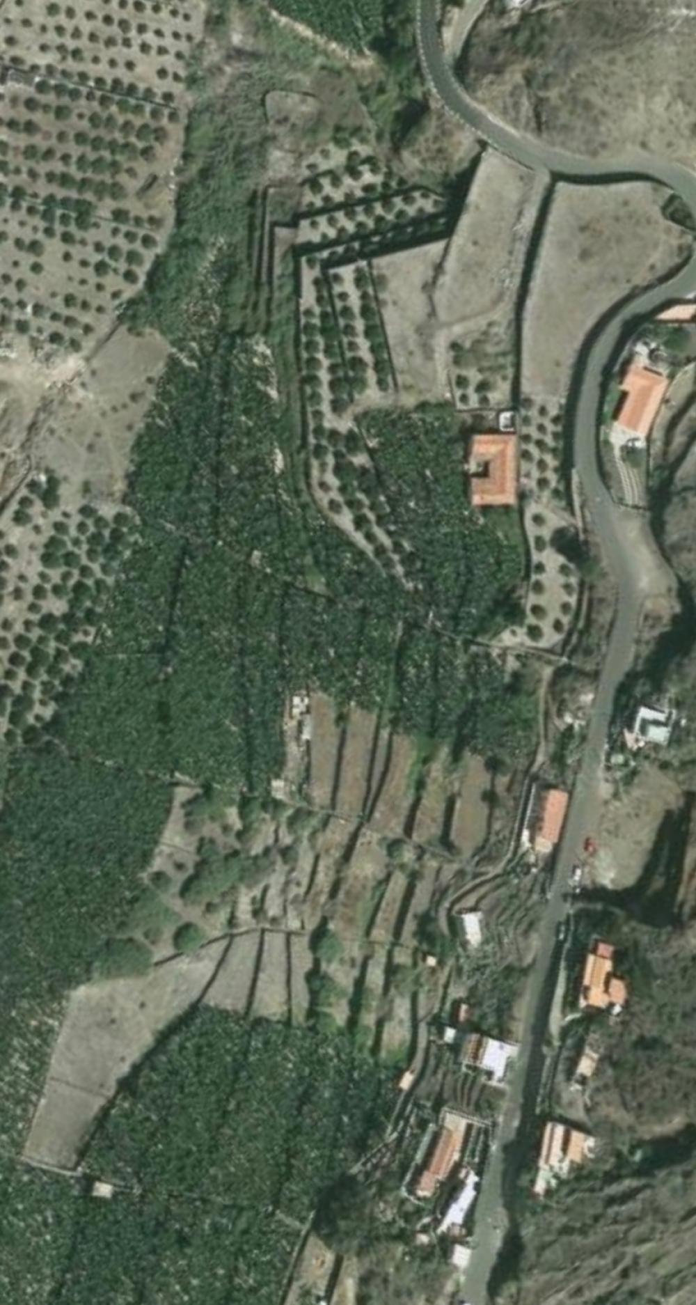 kaufen Grundstück Hermigua Gomera (La) 12