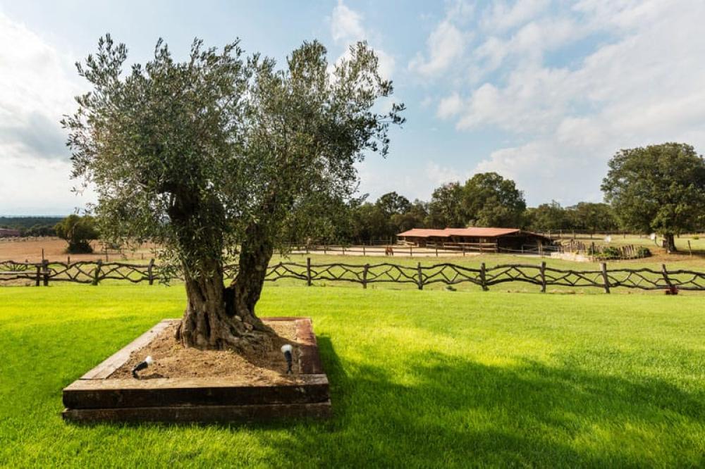  kaufen Haus Cassà De La Selva Gironès 3